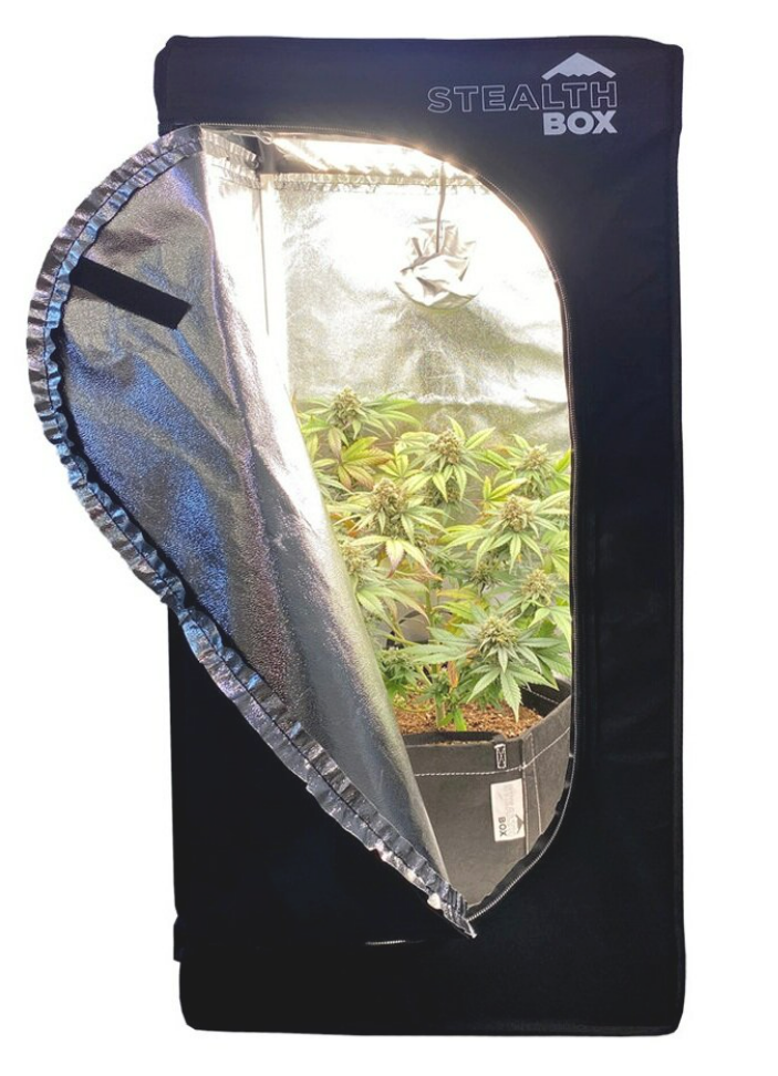 Stealth Box 4 Tent Plant